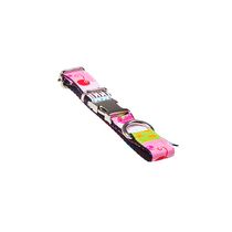 Coleira-Cupcake-fecho-Metal-Modernpet-1