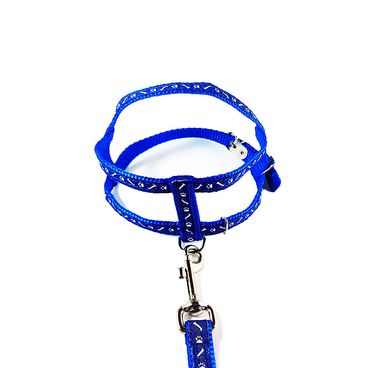 Peitoral Pata e Osso Azul Santa Fé Pet