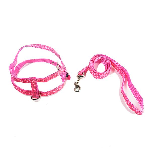 Guia e Peitoral Pata e Osso Rosa Santa Fé Pet Nº 00