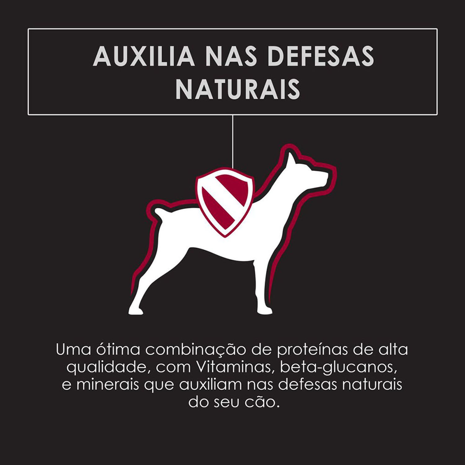 Ração Pro Plan Cães Adultos Raças Pequenas Auxilia das defesas naturais