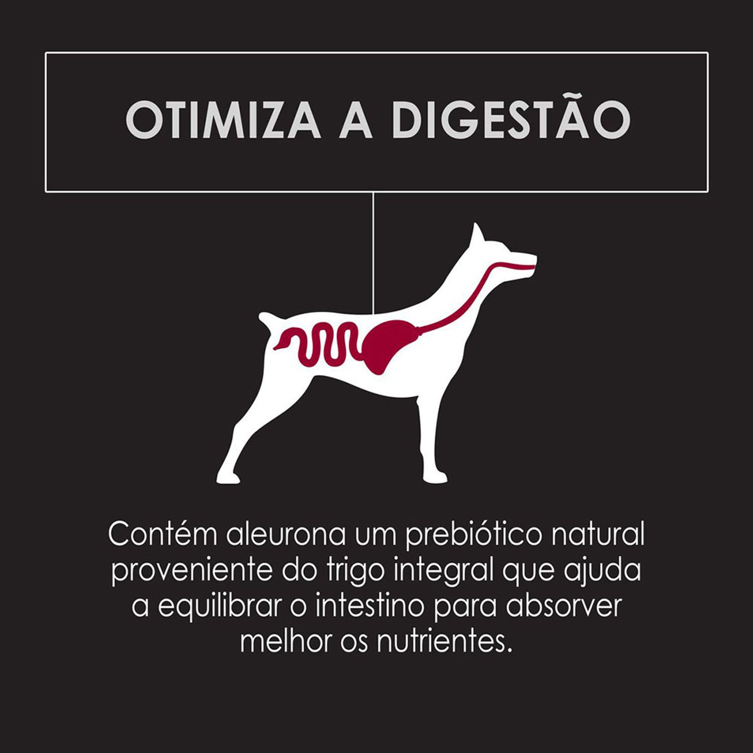 Ração Pro Plan Cães Adultos Raças Pequenas Otimiza a digestão
