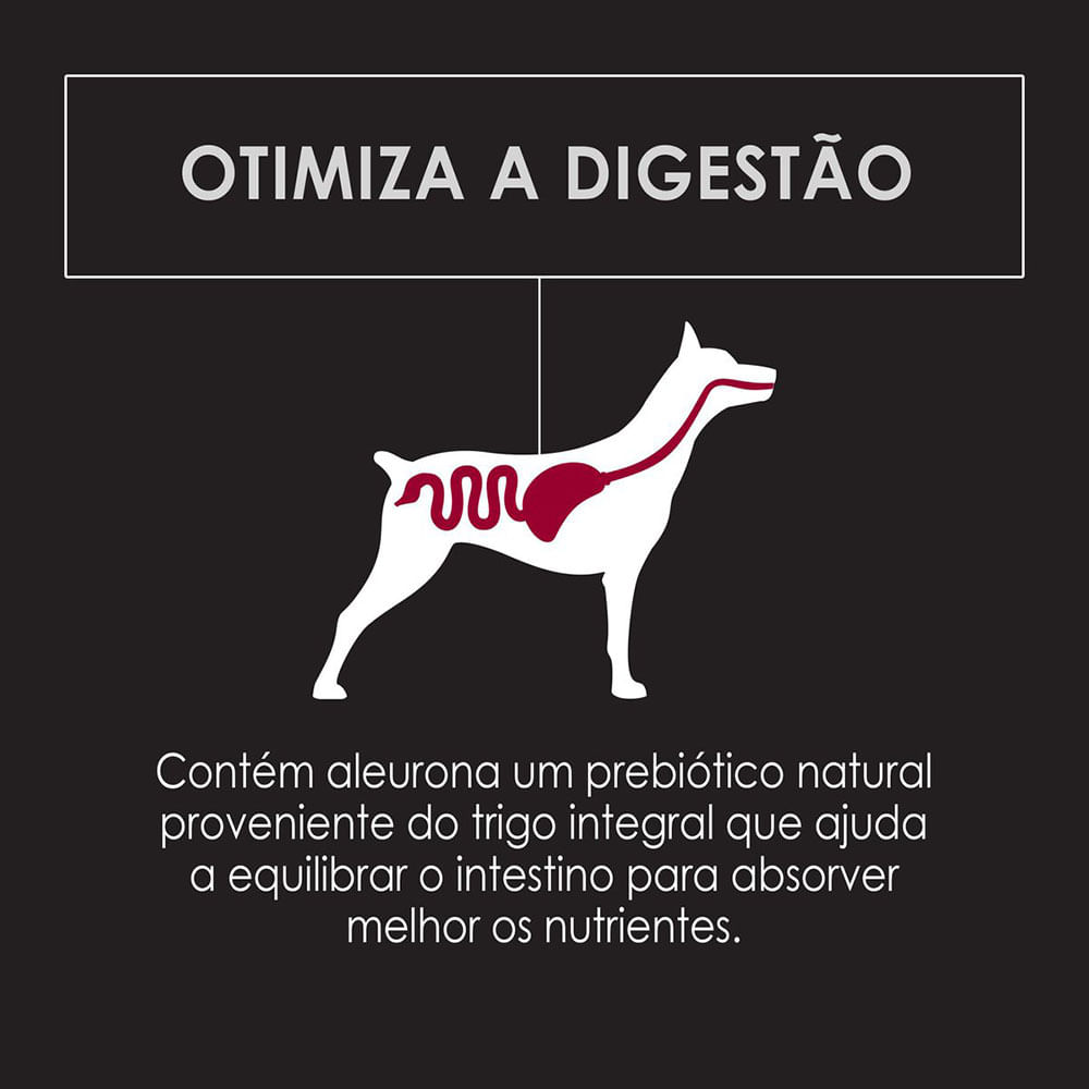Ração Pro Plan Cães Adultos Raças Pequenas