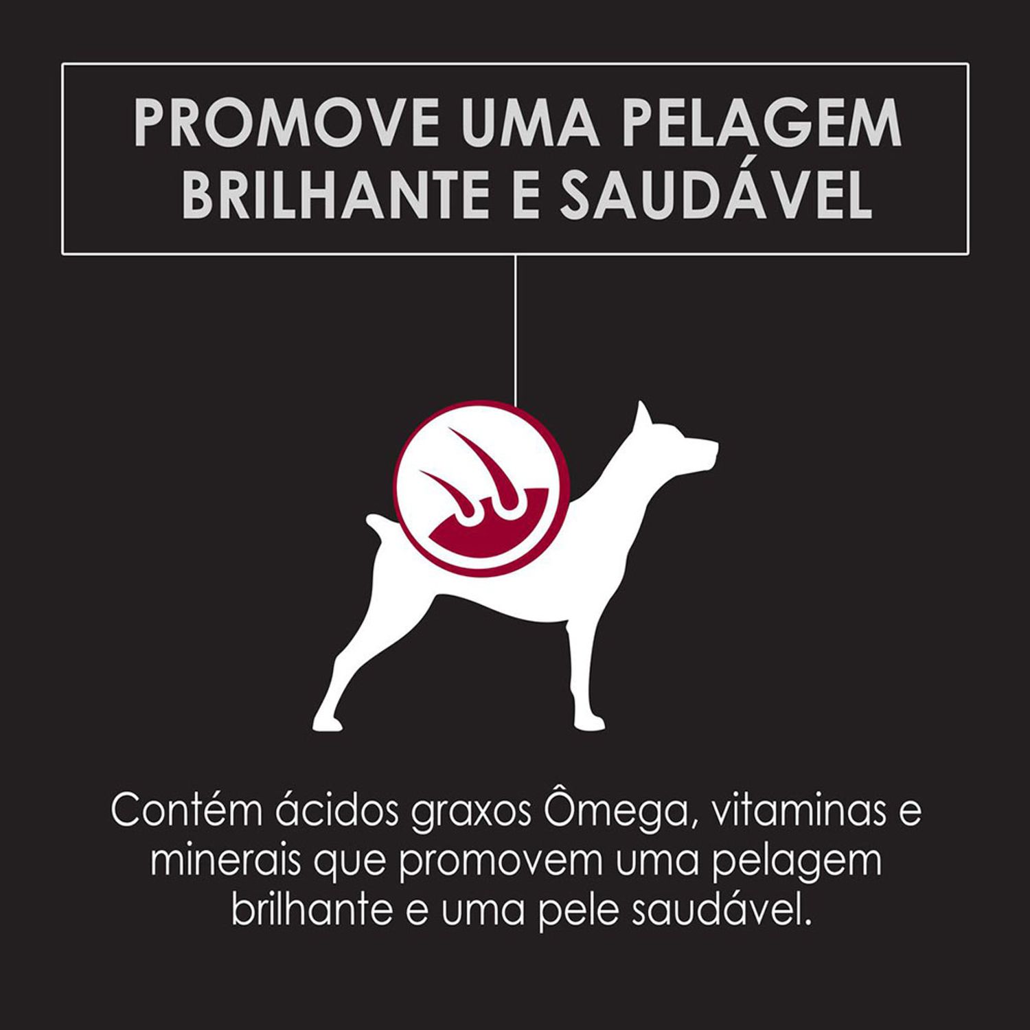 Ração Pro Plan Cães Adultos Raças Pequenas Pelagem brilhante e saudável