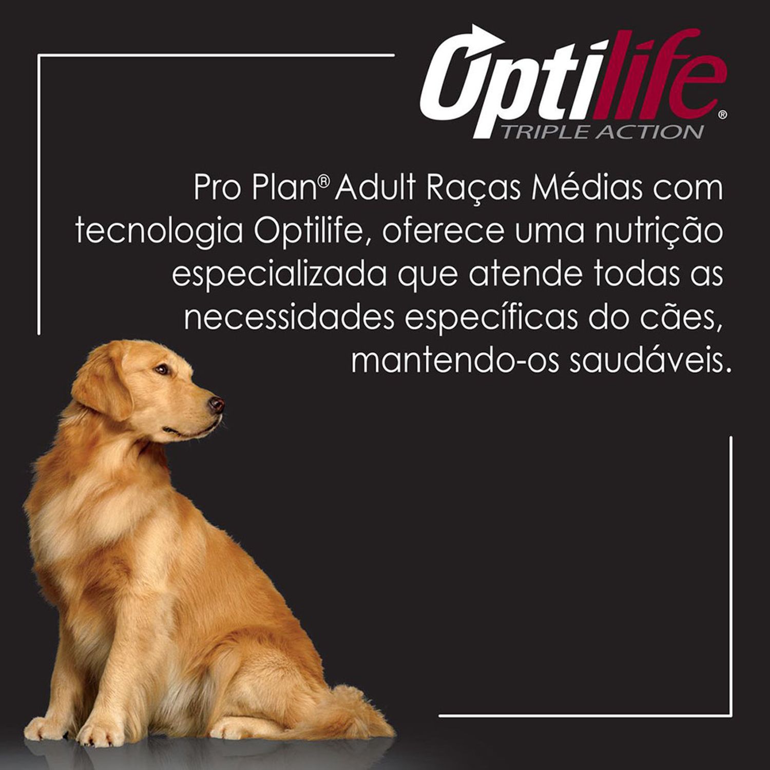 Ração Pro Plan Cães Adultos Raças Pequenas Optlife