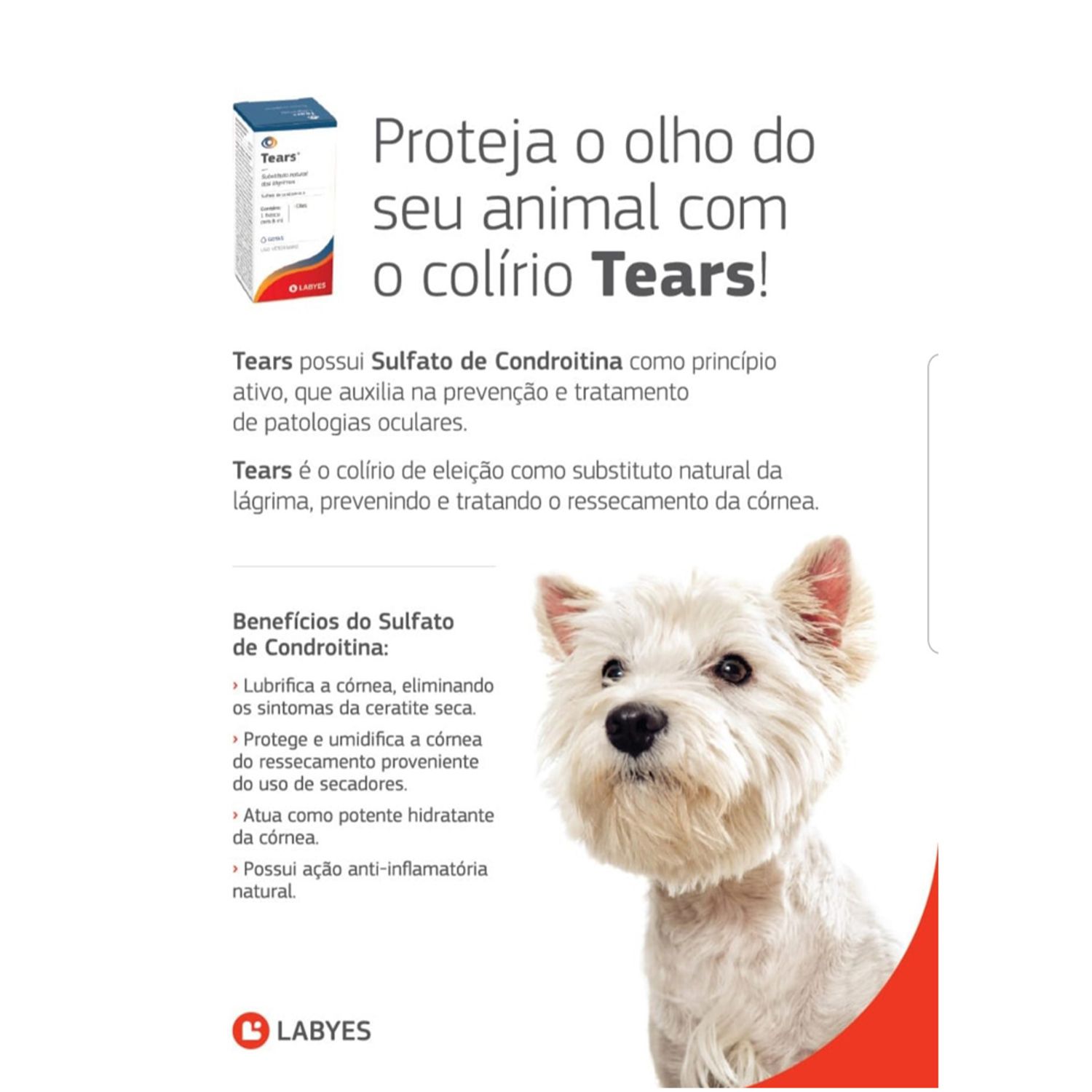 Tears Colírio Gotas Labyes benefícios