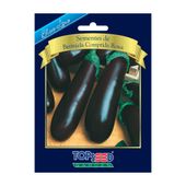 Sementes de Berinjela Comprida Roxa Blue Line Topseed Garden