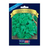 Sementes de Espinafre Nova Zelândia Blue Line Topseed Garden