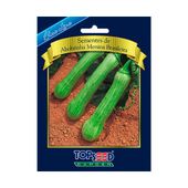 Sementes de Abobrinha Menina Brasileira Blue Line Topseed Garden
