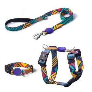 Kit de Guia, Peitoral H e Coleira T-Mutts Cachorreiros Menor preço em Kit de Guia, Peitoral H e Coleira T-Mutts Cachorreiros