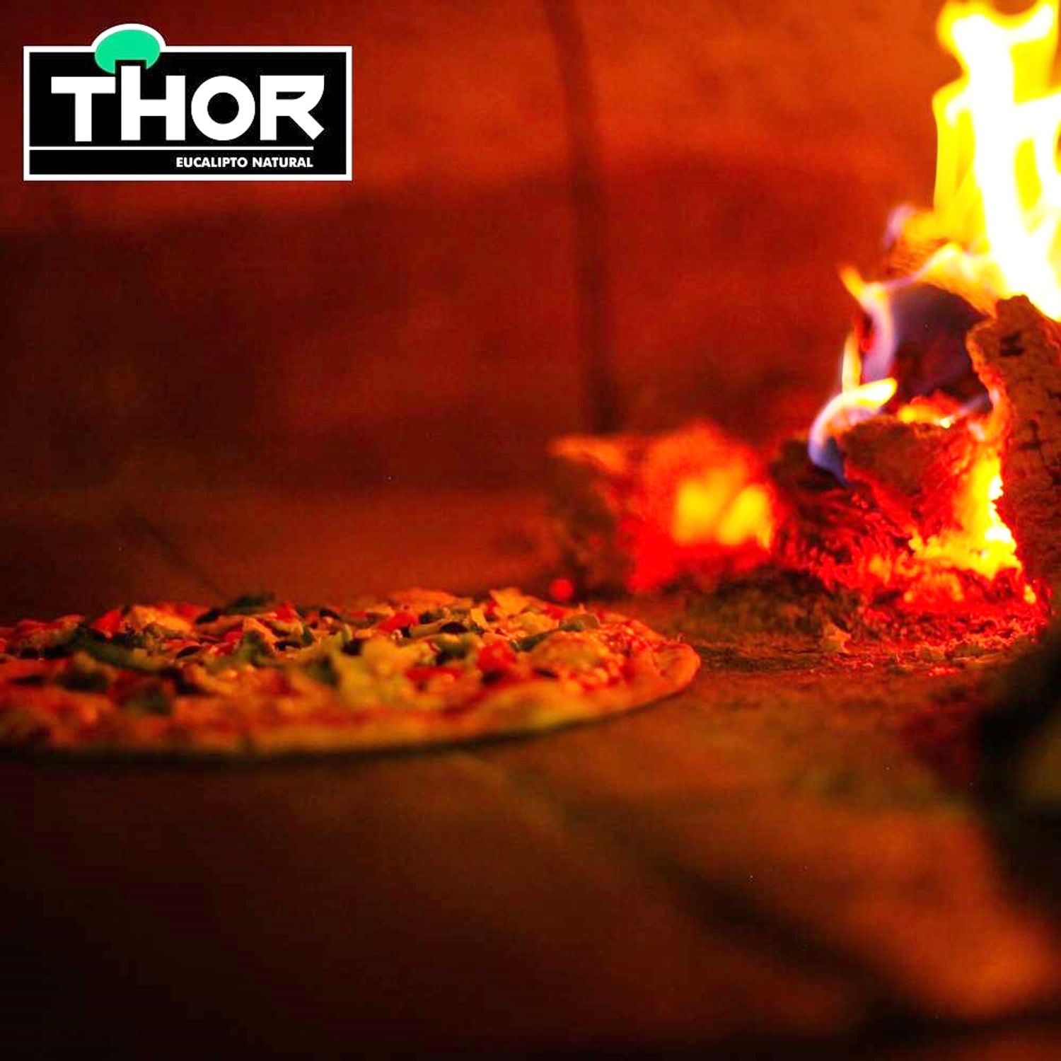 Lenha-de-Eucalipto-Para-Churrasco-Forno-e-Lareira-Thor-Forno-a-Lenha-com-pizza
