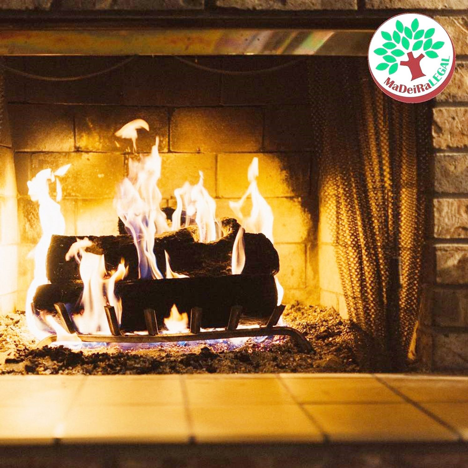 Lenha-de-Eucalipto-Para-Churrasco-Forno-e-Lareira-Thor-Lareira-com-fogo