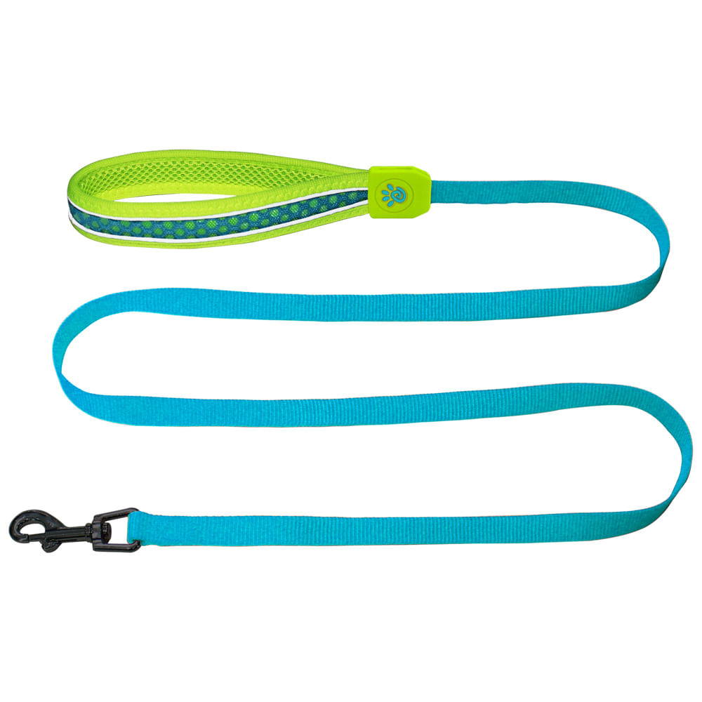 Guia para Cachorro Rede Doco Azul