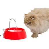 fonte bebedouro aqua mini amicus bivolt vermelho gato bebendo água