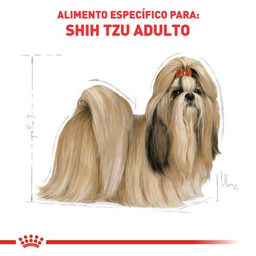 Ração Royal Canin Shih Tzu Cães Adultos Cobasi - Main Image