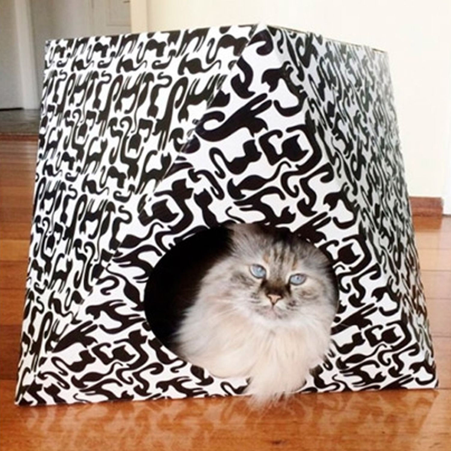 Toca Octa para Gato Pet Games