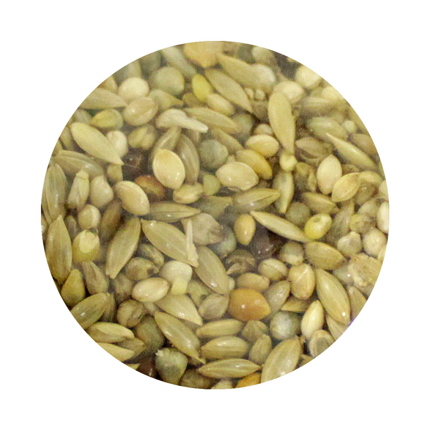 Mistura para Curió e Azulão Nutripássaros com Mel 500g