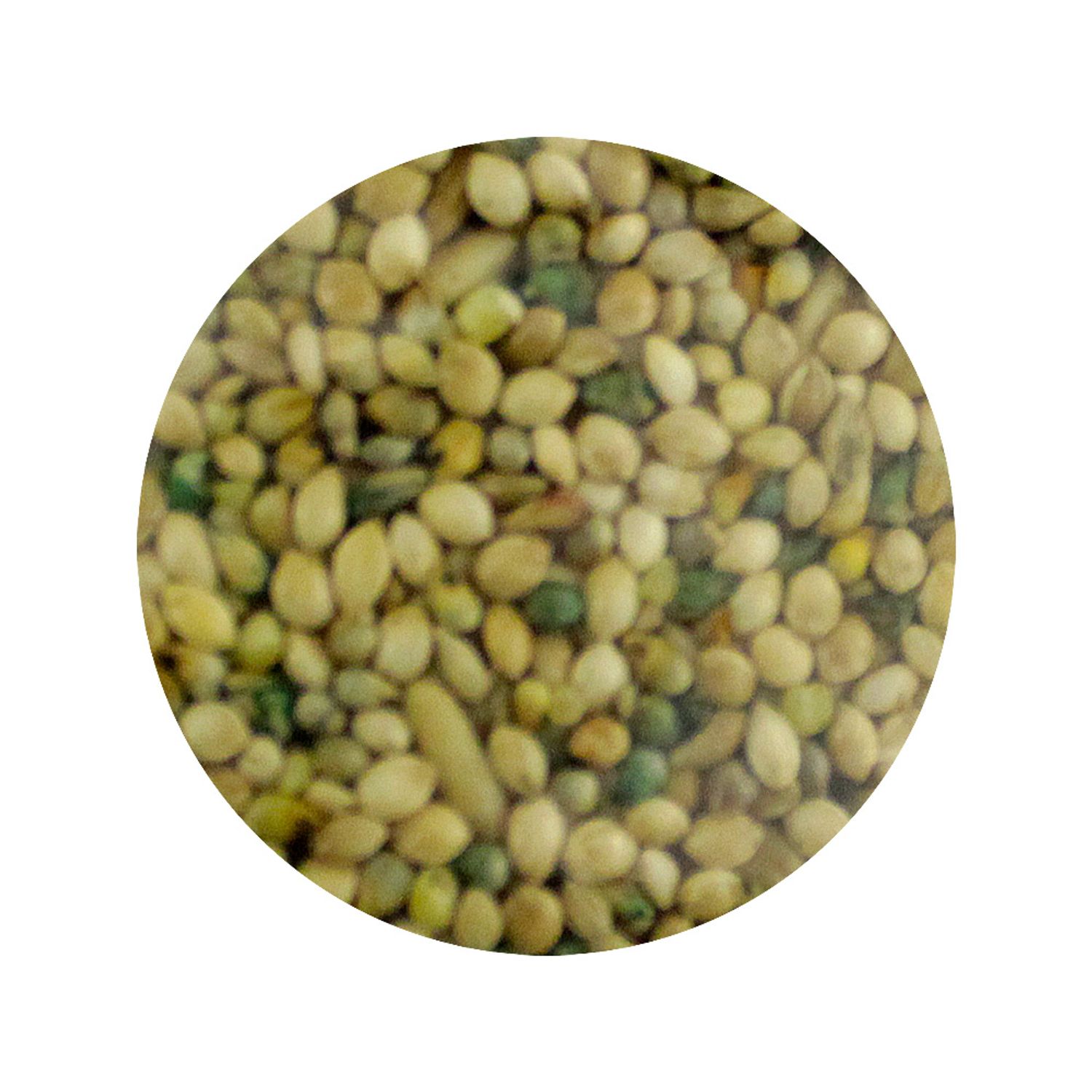 Mistura-para-Passaros-com-Mel-Periquitos-500g-2