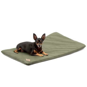 Colchonete-Resistente-Verde-Bichinho-Chic