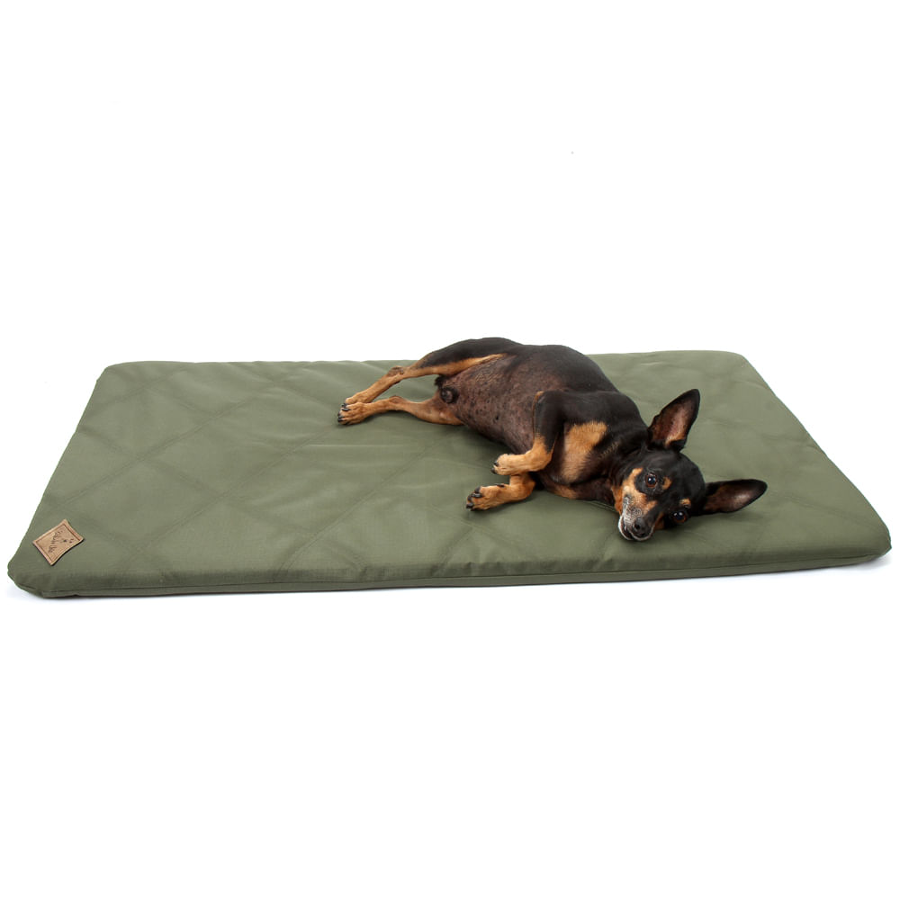 Colchonete Resistente Verde Bichinho Chic