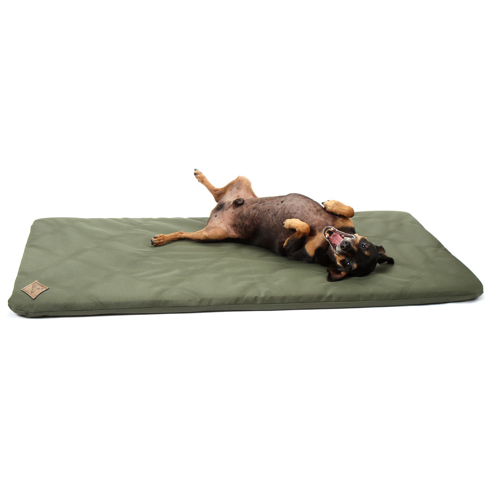 Colchonete Resistente Verde Bichinho Chic
