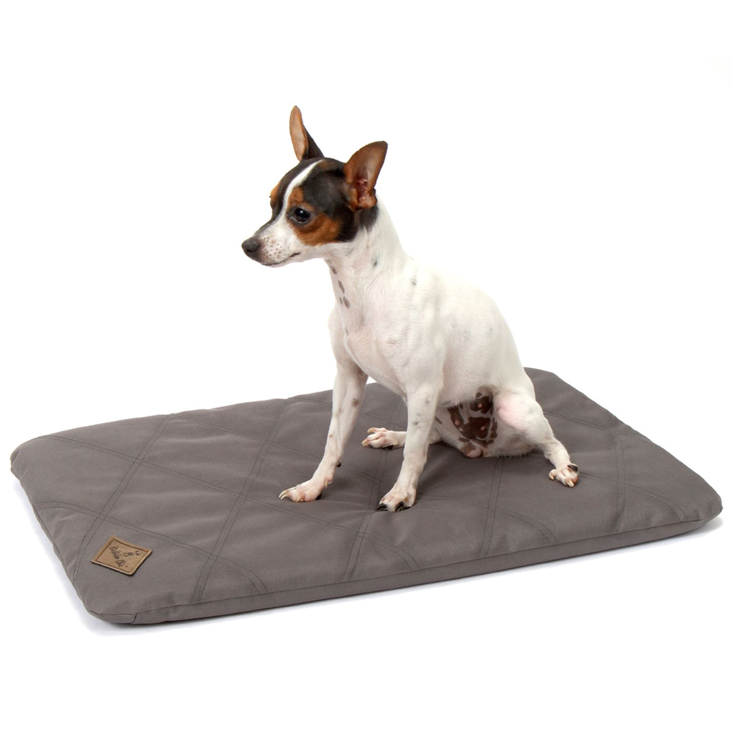 Colchonete-Resistente-Cinza-Bichinho-Chic-com-cachorro