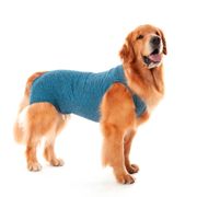 Roupa Pós-Cirúrgica para Cães Machos Castração Pet Med Azul