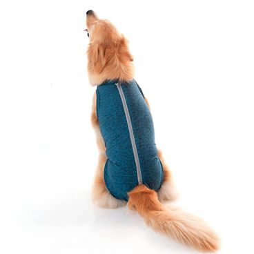 Roupa-Pos-Cirurgica-para-Caes-Machos-Castracao-Azul-Pet-Med-1