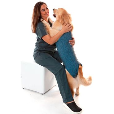 Roupa-Pos-Cirurgica-para-Caes-Machos-Castracao-Azul-Pet-Med