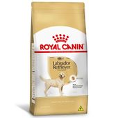 Racao-para-Labrador-Retriever-Adulto-Royal-Canin