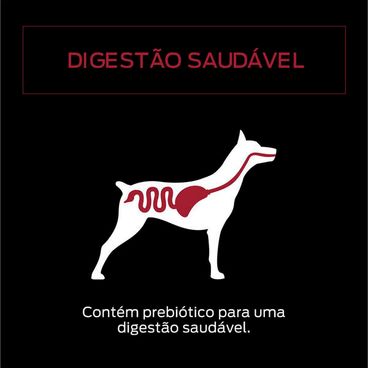 alimento-umido-pro-plan-adult-carne-ao-molho-a_3866512