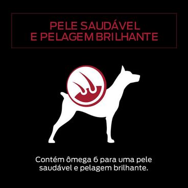 alimento-umido-pro-plan-adult-carne-ao-molho-b_3866512