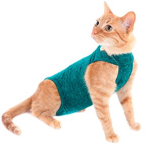 Roupa Pós-Cirúrgica para Gatos Duo Dry Pet Med Verde