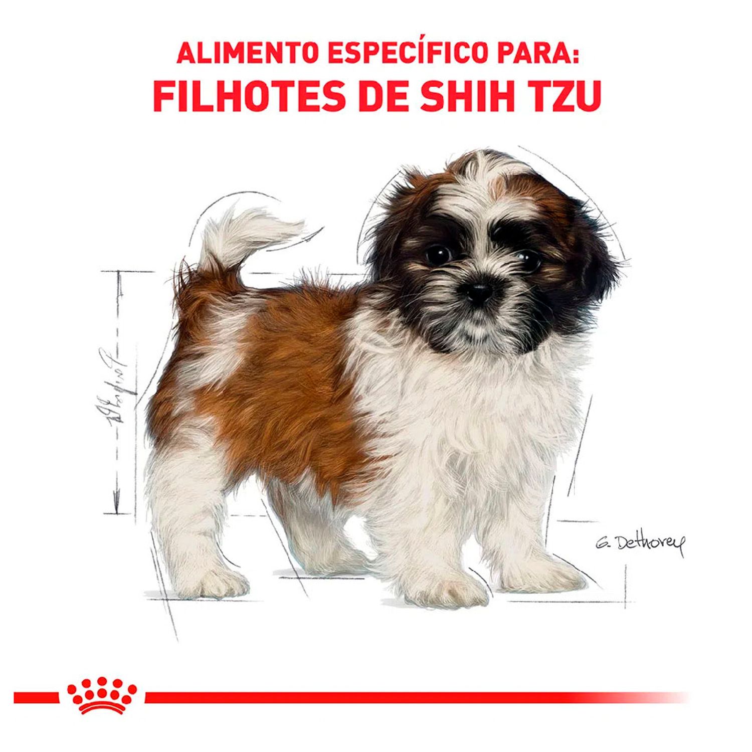 Ração Royal Canin Puppy Shih Tzu Cães Filhotes