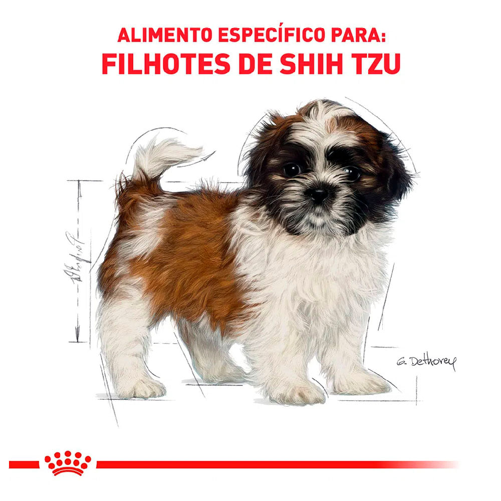 Ração Royal Canin Puppy Shih Tzu Cães Filhotes
