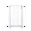 Imagem em destaque