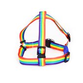 Peitoral Arco-Íris Cães e Gatos Alvorada