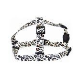 Peitoral Onça para Cães e Gatos Alvorada