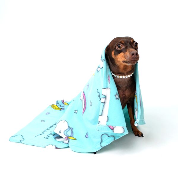 Cobertor Soft para Cães e Gatos Emporium Distripet Azul Único