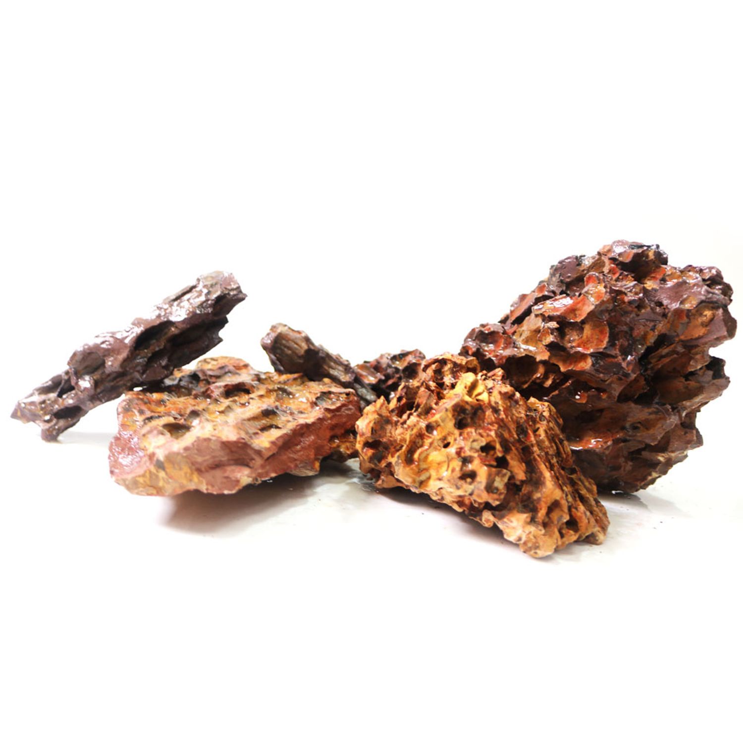 maxxi-rocha-dragon-20kg