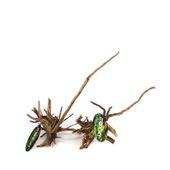 maxxi-raiz-ornamental-pinho-20-30cm