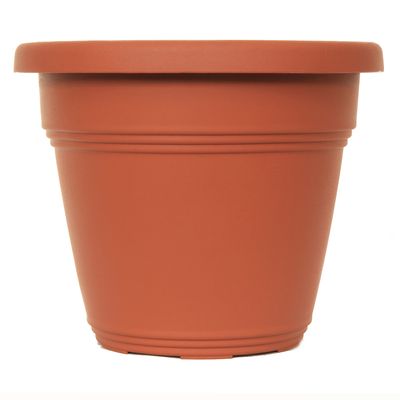 Vasos e Cachepôs