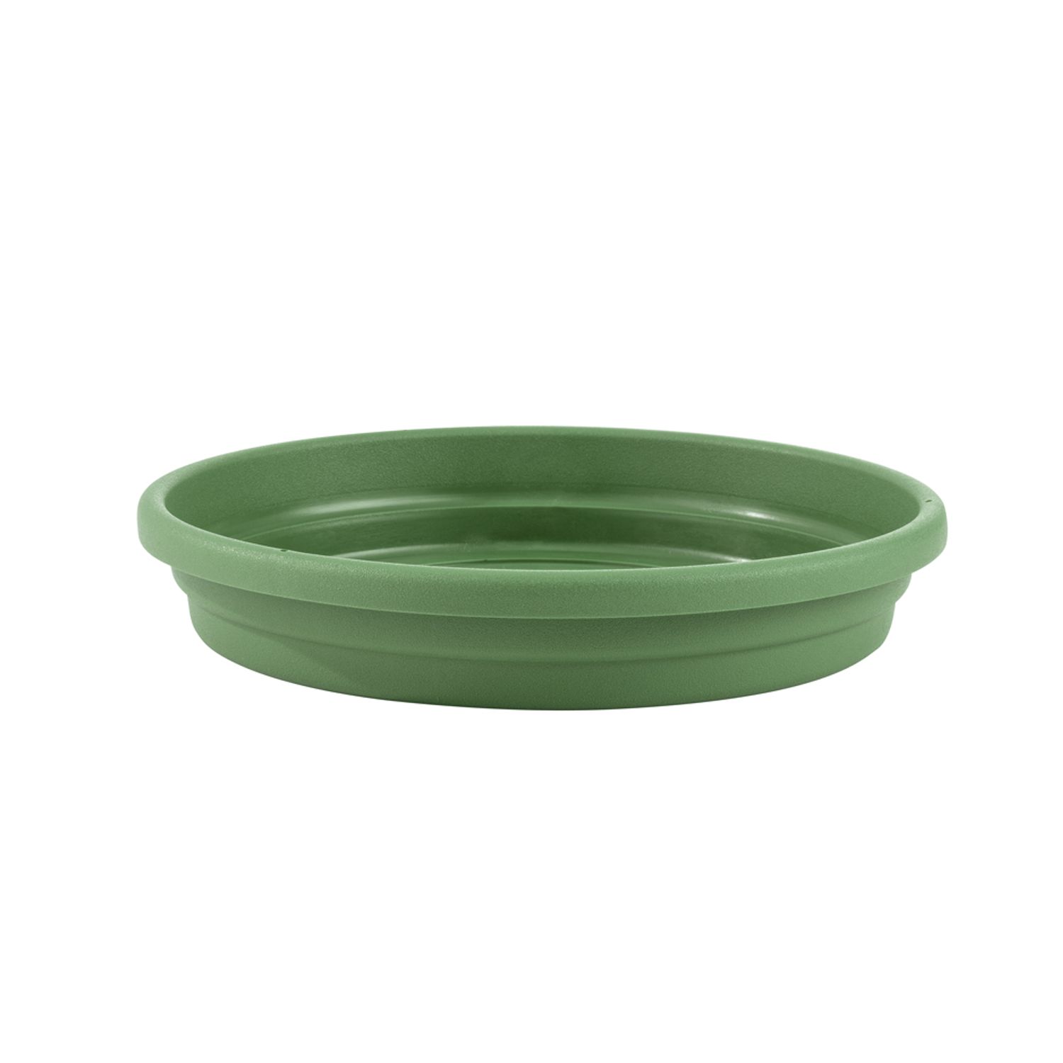 Prato Desli Verde