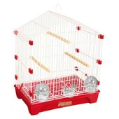 Gaiola Pássaros Quatiguá Brasileira Vermelha