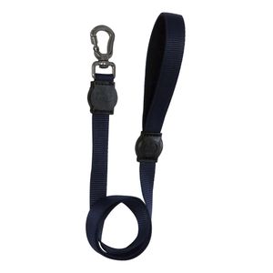 Guia Cães e Gatos São Pet Azul