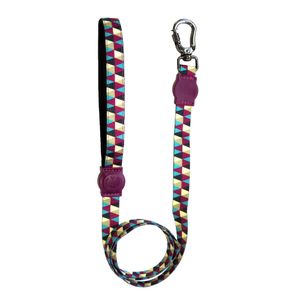 Guia Geometric Cães e Gatos São Pet