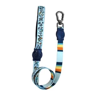 Guia Swell Cães e Gatos São Pet