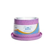 Comedouro Antiformiga para Gatos Mr. Bigode NF Pet Rosa