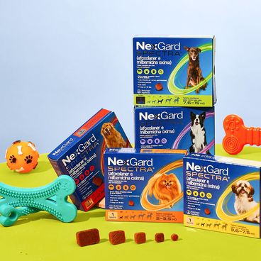NexGard Spectra Antipulgas e Vermífugo Cães Todos os tipos