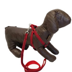 Peitoral com Guia Estampada São Pet Vermelho - Nº 01