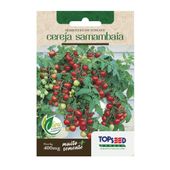 Semente Tomate Cereja Samambaia Topseed Garden